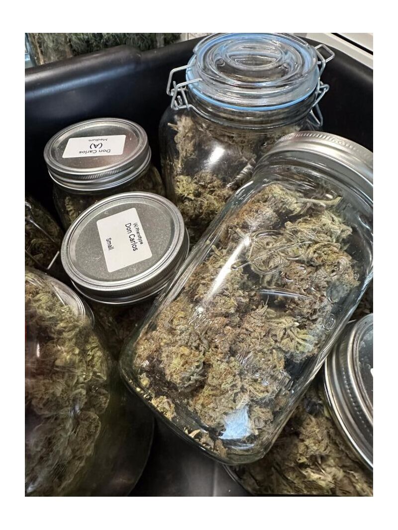 Don Carlos, Фасовка: 3, изображение 4